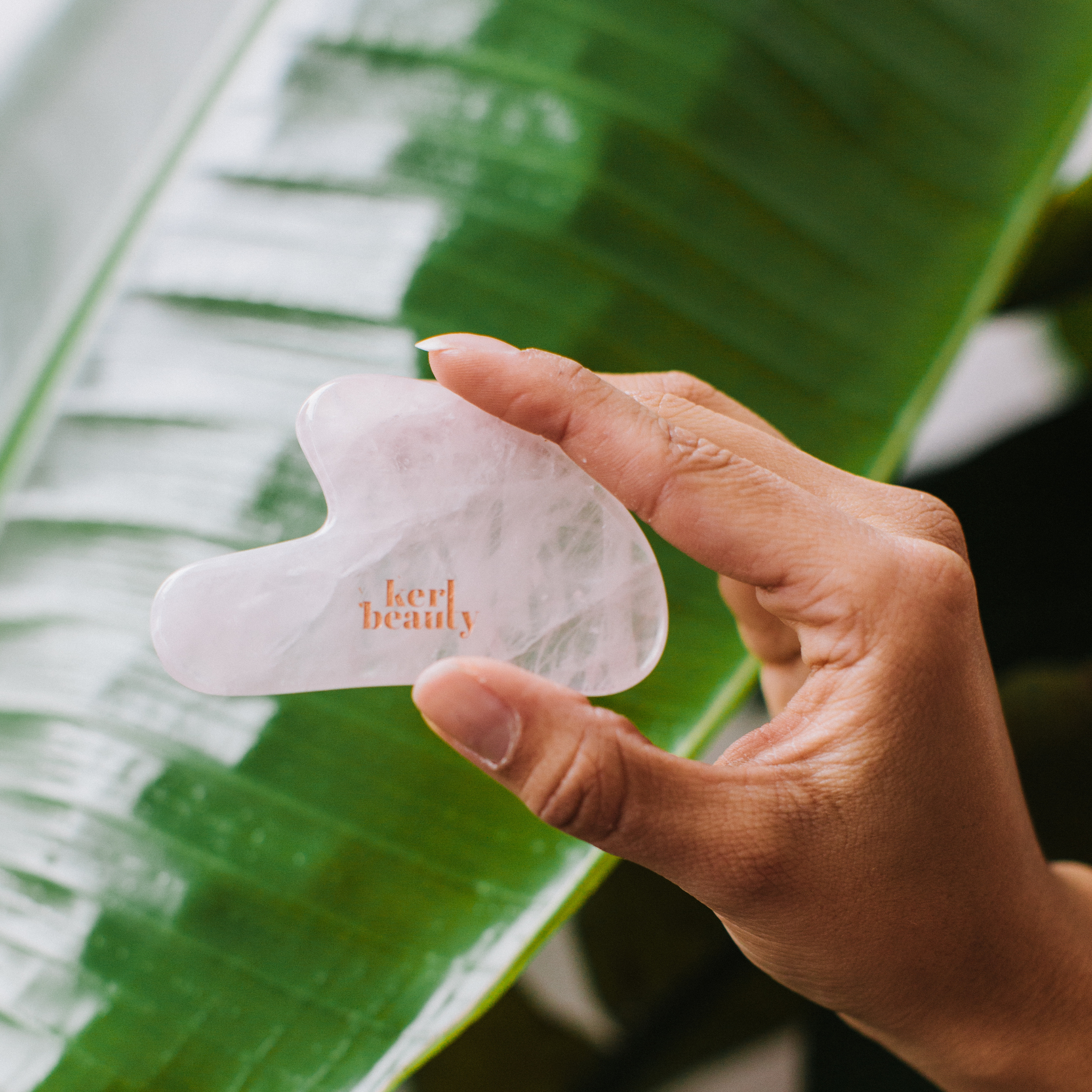 Rose Quartz Roller & Gua Sha