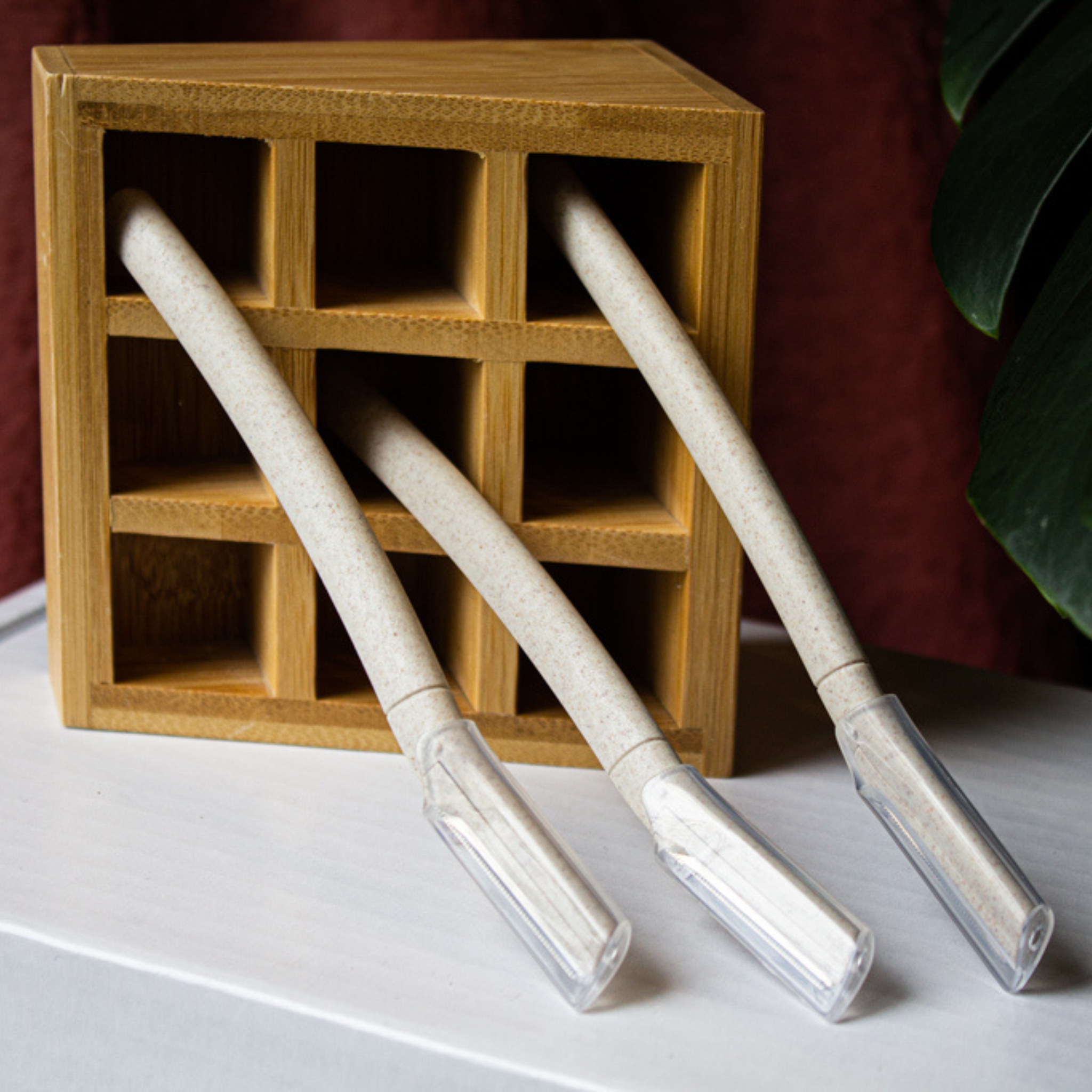 Reusable Facial Razors